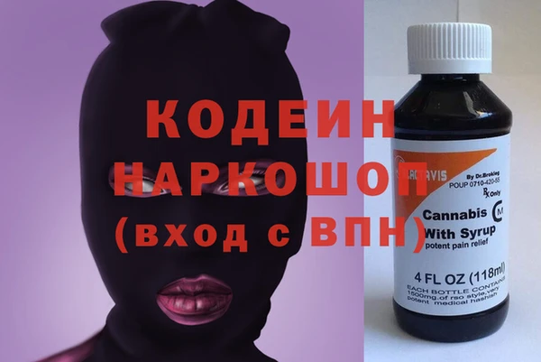хмурый Арсеньев