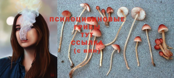 хмурый Арсеньев