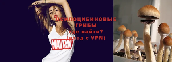 тгк Аркадак