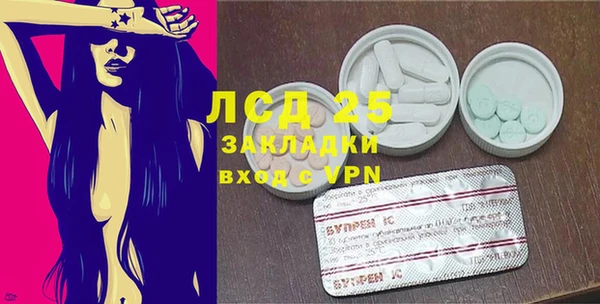 хмурый Арсеньев