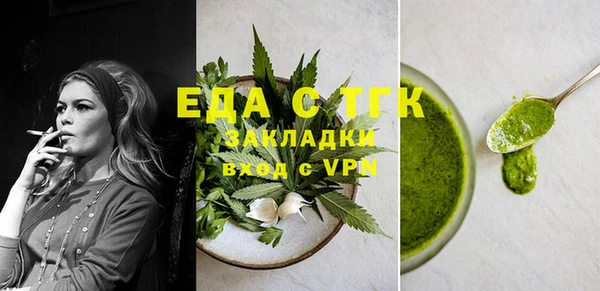 хмурый Арсеньев