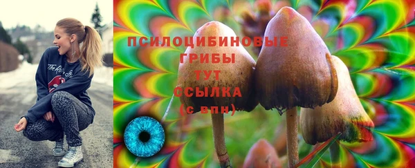 MDMA Армянск