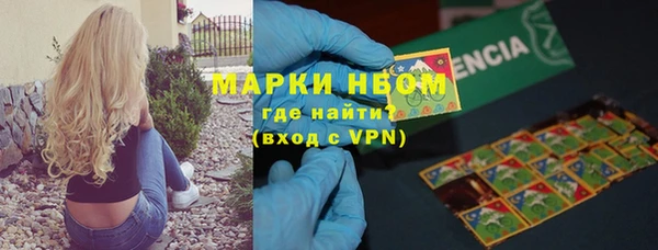 хмурый Арсеньев