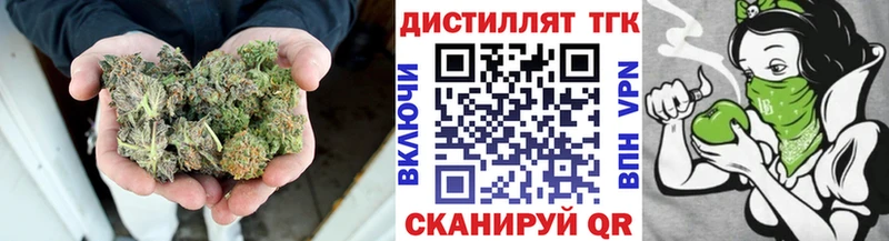 ТГК Wax  Купить  Шуя 